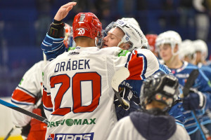 dsc_1353 kopie.jpg